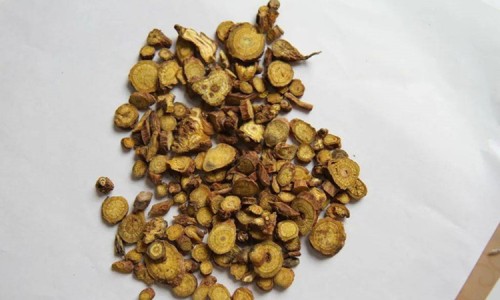 蚁参蠲痹胶囊功效-蚁参蠲痹胶囊主治网—知名的蚁参蠲痹胶囊有那几种中药网站,分享蚁参蠲痹胶囊主治什么病?功效和副作用有哪些?知识