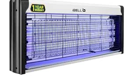 蚁参蠲痹胶囊主治网—知名的蚁参蠲痹胶囊有那几种中药网站,分享蚁参蠲痹胶囊主治什么病?功效和副作用有哪些?知识